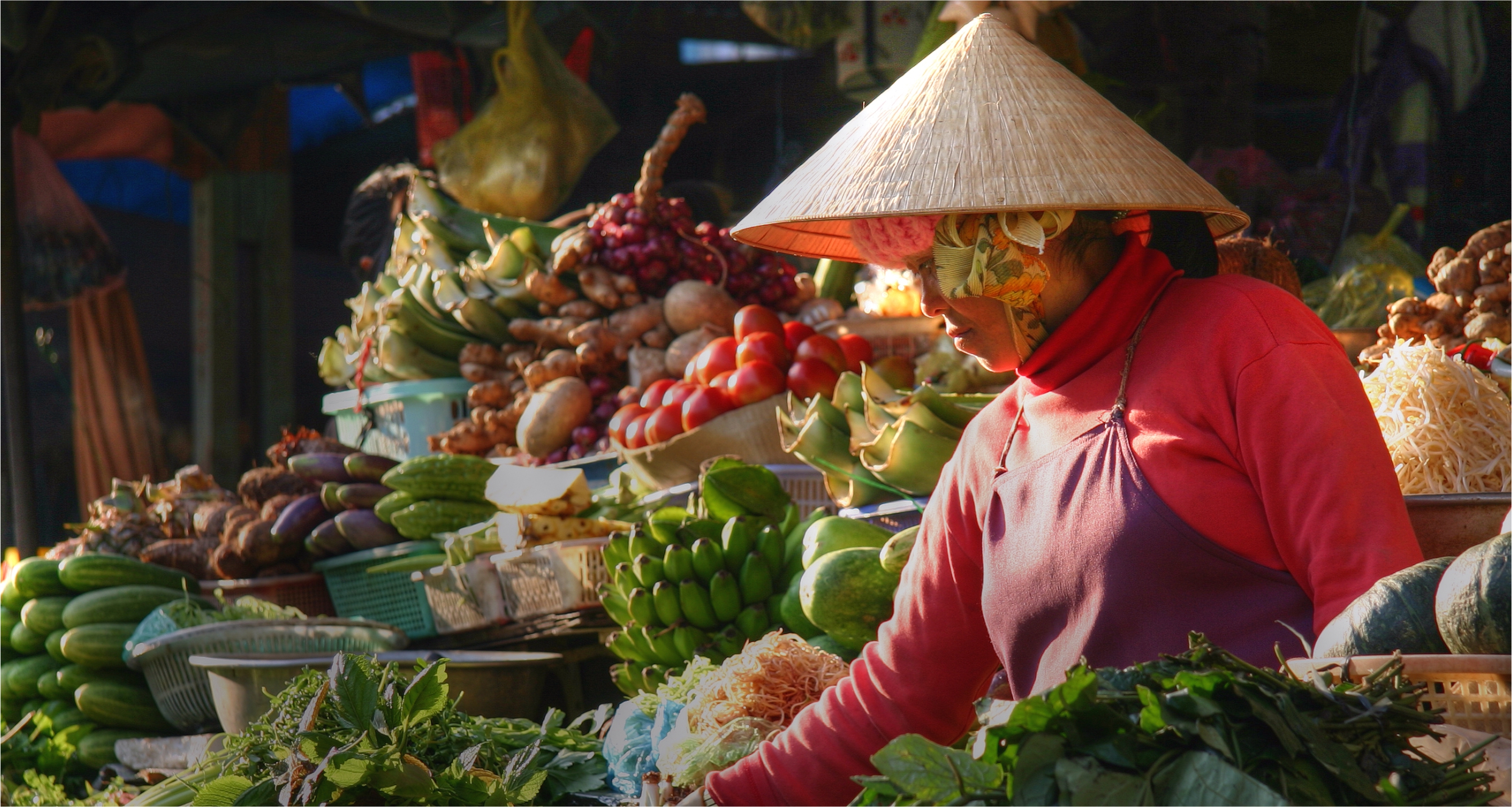 Membangun Lampung Emas