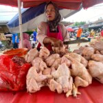 Ayam Potong 1 Kg Dibanderol Rp 30 Ribu Jelang Idul Adha 2026