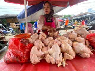 Ayam Potong 1 Kg Dibanderol Rp 30 Ribu Jelang Idul Adha 2026