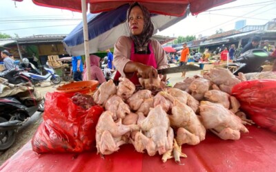 Ayam Potong 1 Kg Dibanderol Rp 30 Ribu Jelang Idul Adha 2026